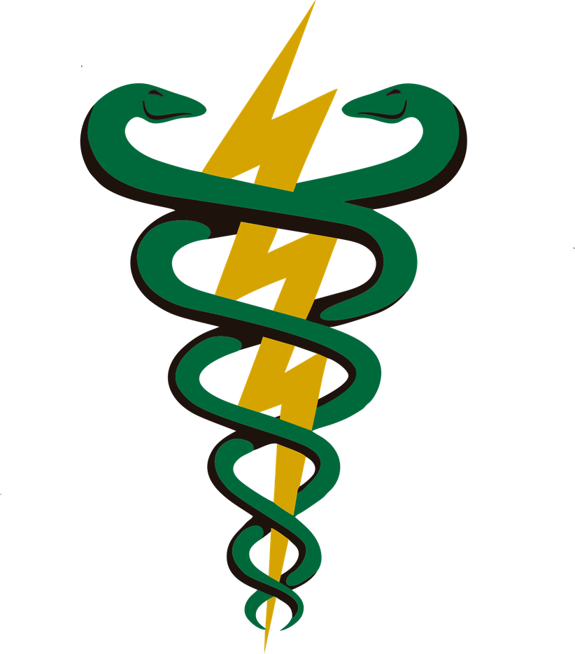 Símbolo da Fisioterapia: serpentes entrelaçadas com um raio